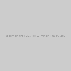 Image of Recombinant TBEV gp E Protein (aa 50-250)